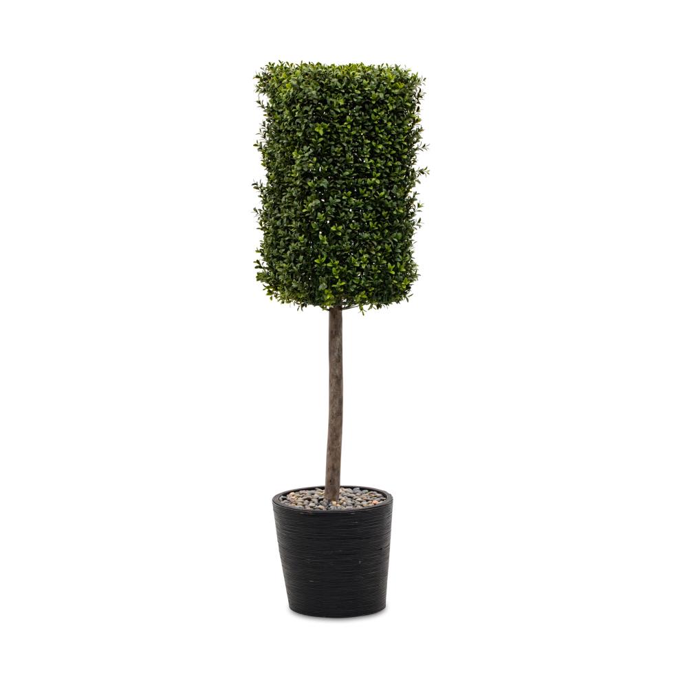 boxwood-topiary-pot